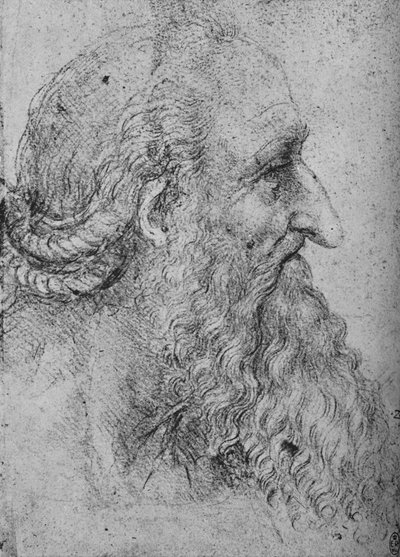 Profil af en gammel, skægget mand til højre, c1480 1945 af Leonardo da Vinci