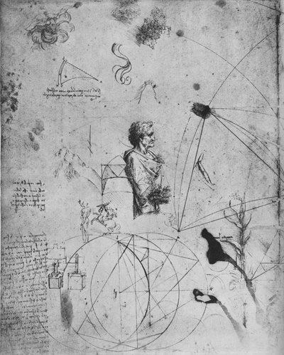 Profil af en gammel mand, planter, geometriske figurer osv., c1480 1945 af Leonardo da Vinci
