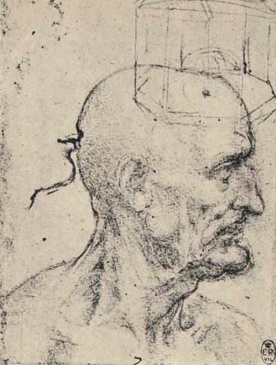 Profil til højre for en skaldet mand, c1480 1945 af Leonardo da Vinci