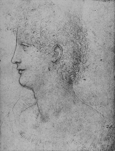Profil til venstre for en ung med krøllet hoved, c1480 1945 af Leonardo da Vinci