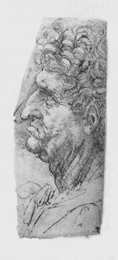 Profil til venstre for en ældre mand med krøllet hår, c1480 1945 af Leonardo da Vinci