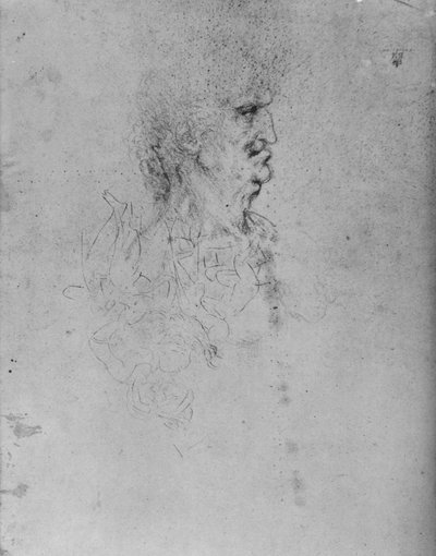Profil til højre for en gammel mand, c1480 1945 af Leonardo da Vinci