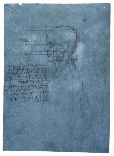 Proportionundersøgelse af et mandligt hoved i profil af Leonardo da Vinci