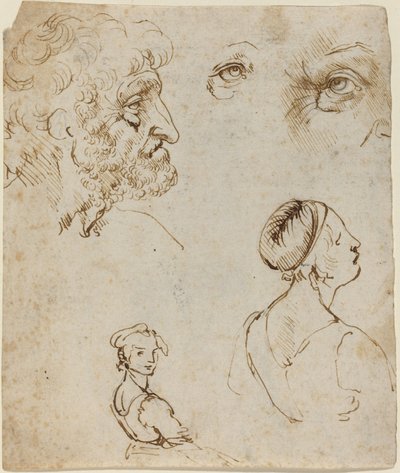Studieark [recto] af Leonardo da Vinci