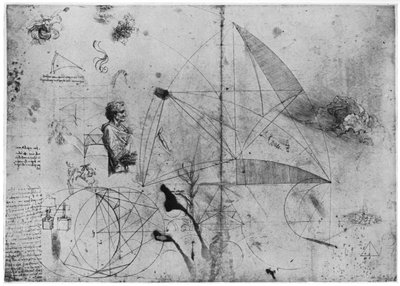 Studieark, slutningen af det 15. eller begyndelsen af det 16. århundrede 1954. af Leonardo da Vinci