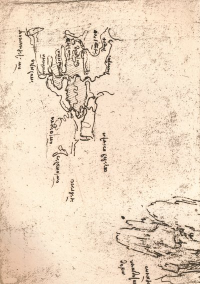 Skitsekort over Armenien, c1472-c1519 1883 af Leonardo da Vinci