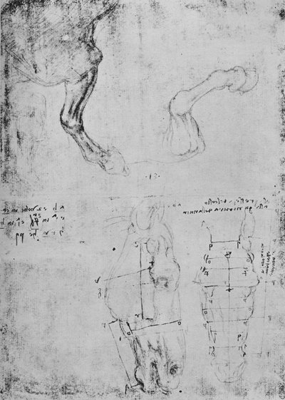 Studier af hestes forben og målte tegninger af hestehoveder, c1480 1945 af Leonardo da Vinci