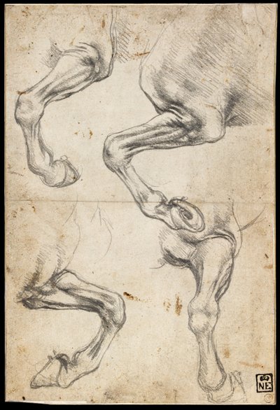 Studier af Hesteben af Leonardo da Vinci