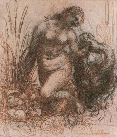 Study for Leda and the Swan af Leonardo da Vinci (1452-1519), tegning af Leonardo da Vinci