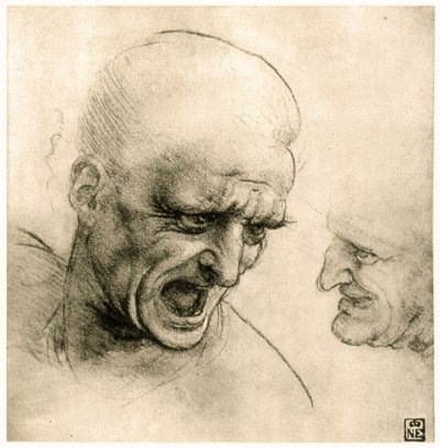 Studer for en krigers hoved af Leonardo da Vinci