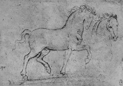Studie af en hest og et hestehoved, c1480 1945 af Leonardo da Vinci