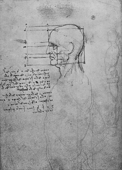 Undersøgelse af en mands nøgen torso, hovedet kvadreret for proportioner, c1480 1945 af Leonardo da Vinci