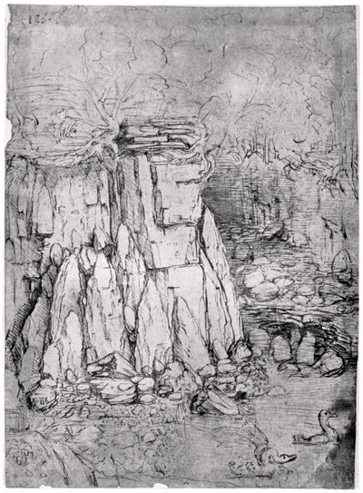 Studie af en klippehule med ænder, 1482-1485 1954 af Leonardo da Vinci