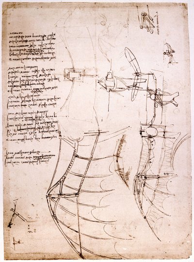 Studer på vinger. Codex Atlantic. Atlantic Codex, tegning af Leonard de Vinci (Leonardo da Vinci) omkring 1499. af Leonardo da Vinci