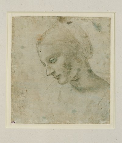 Kvindens hoved næsten i profil ... af Leonardo da Vinci