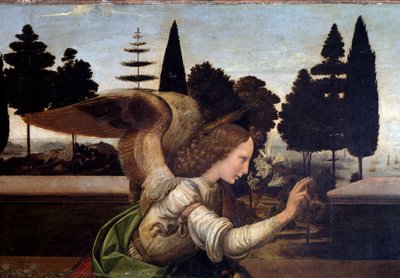 Bebudelsen, detalje af englen - olie på træ af Leonardo da Vinci