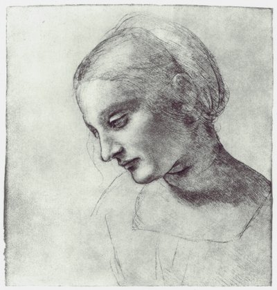Hovedet af en Madonna, c1484-1486 af Leonardo da Vinci