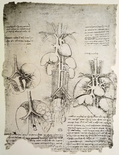 Hjertet og kredsløbet, faksimile af Windsor-bogen (pen og blæk på papir) af Leonardo da Vinci