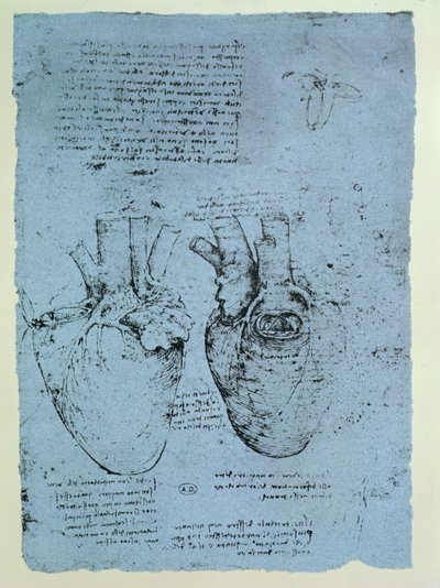 The Heart, faksimile af Windsor-bogen (pen og blæk på papir) af Leonardo da Vinci