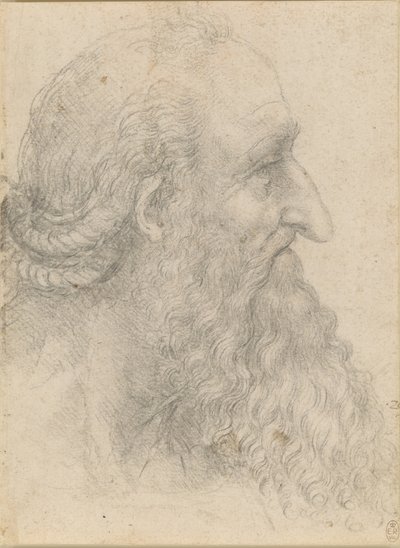 Hovedet af en gammel skægget mand, ca 1517. af Leonardo da Vinci