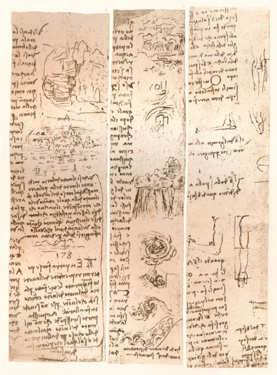 Tre tegninger, c1472-c1519 1883 af Leonardo da Vinci