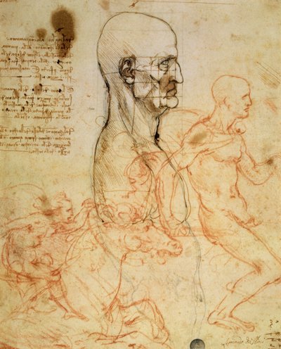 Torso af en mand i profil, hovedet i kvadrat for proportioner og skitser af to ryttere, ca. 1490 og ca. 1504 (pen og blæk og rødt kridt over metalpoint på papir af Leonardo da Vinci
