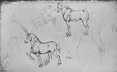 To studier af heste, en af en galoperende rytter og andre af hesteben, c1480 1945 af Leonardo da Vinci