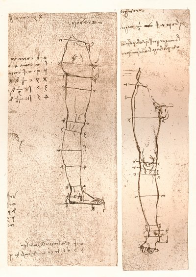 To tegninger, der illustrerer teorien om proportionerne af den menneskelige figur, c1472-c1519 1883 af Leonardo da Vinci