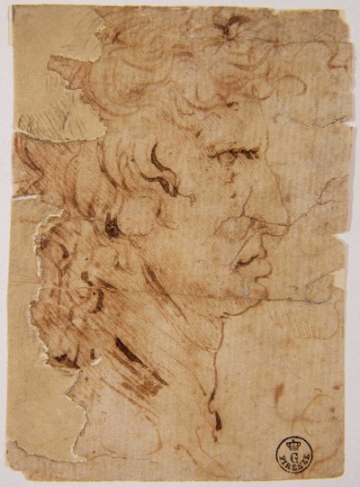 Ukendt billede af Leonardo da Vinci