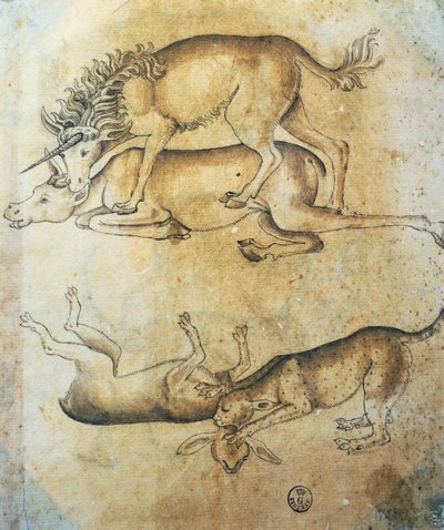 Enhjørning angriber en ko og leopard angriber et får, undersøgelse af dyr, af Leonardo da Vinci (1452-1519), tegning af Leonardo da Vinci