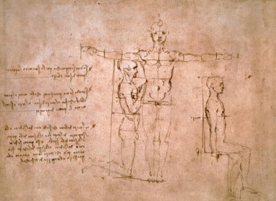 Sammenlignende proportionsundersøgelser ... af Leonardo da Vinci