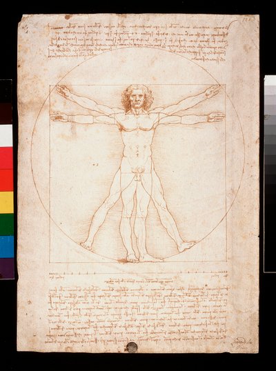 Vitruviansk mand af Leonardo da Vinci