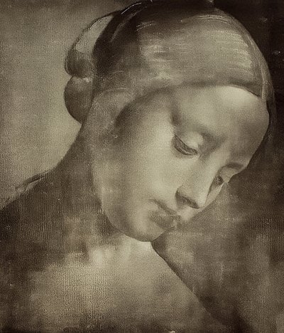 Kvindelig hoved. 1470-1519 af Leonardo da Vinci