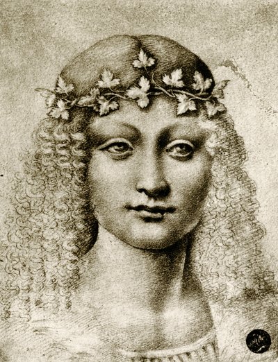 Pigehoved omkranset af vinranke af Leonardo da school of Vinci