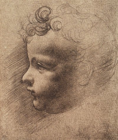 Hovedet af en lille dreng; tegning af Leonardo da Vinci. Louvre, Paris af Leonardo da school of Vinci