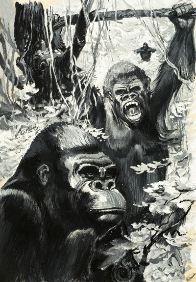 Gorillaer af Leslie Field Evans
