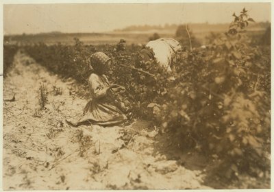 En seks år gammel polsk pige plukker bær hele dagen med sin familie (Scholtz) ved Rock Creek nær Baltimore, Maryland, 1909 af Lewis Wickes Hine