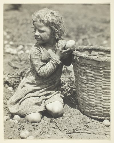 Børnearbejde på gården af Lewis Wickes Hine