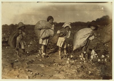 Edith 5 og Hughie 6 vælger bomuld hele dagen, Alton 7 vælger 50 pund og Ruth 9 vælger 75, hos H.M. Lanes farm, Bells, Texas, 1913 af Lewis Wickes Hine
