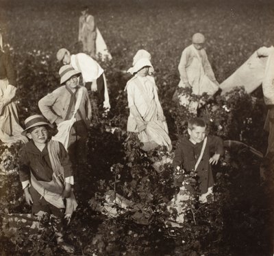 Nær Waxahachie, Texas af Lewis Wickes Hine