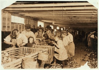 Rosy på 8 år arbejder en 14 timers dag som østers-shucker på Dunbar Cannery, Louisiana, 1911 af Lewis Wickes Hine