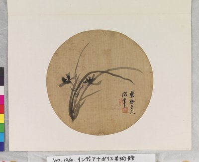 Orkidé i blomst af Li Chen