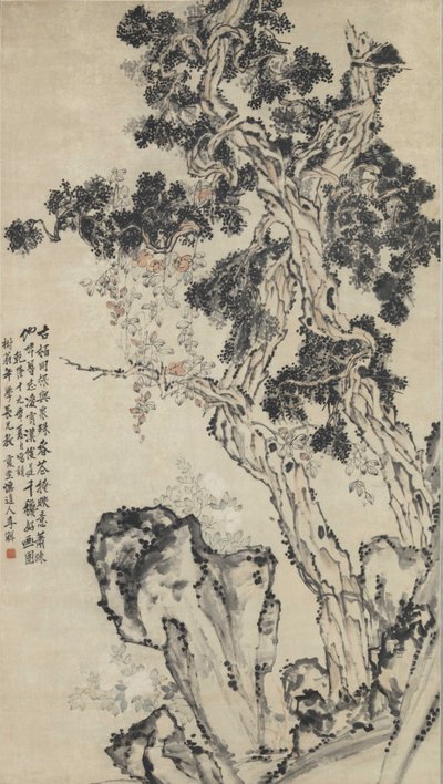 Cypres top. af Li Shan