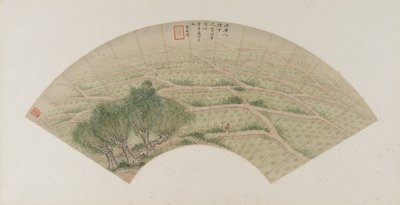 Rismarker med hejrer, Qing-dynastiet, 1741 (blæk og farve på papir) af Li Shizuo