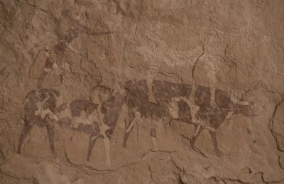 Kvæg og menneskelige figurer, Hulemaleri, Oued i Djeran, Nær Djanet, Tassili n