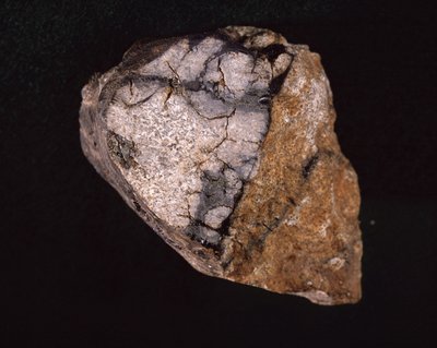 Meteorit fundet i Indien i 1875 - Museum d