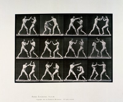 Nøgne mandlige atleter bokser, c 1872-1885 af Unbekannt Unbekannt