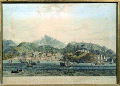 En udsigt over byen St. George og Richmond Heights på øen Grenada, indgraveret af William Daniell 1769-1837, gravering ca. 1810 af Lieutenant Colonel J. Wilson