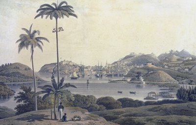 En udsigt over byen St. George på øen Grenada, taget fra Belmont Estate, indgraveret af William Daniell (1769-1837), ca. 1810 af Lieutenant Colonel J. Wilson