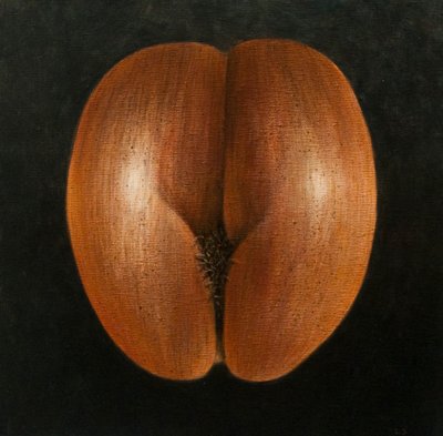 Coco de Mer, 2010 (akryl på lærred) af Lincoln Seligman